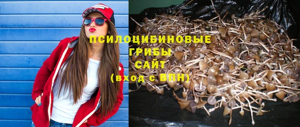 метамфетамин Протвино