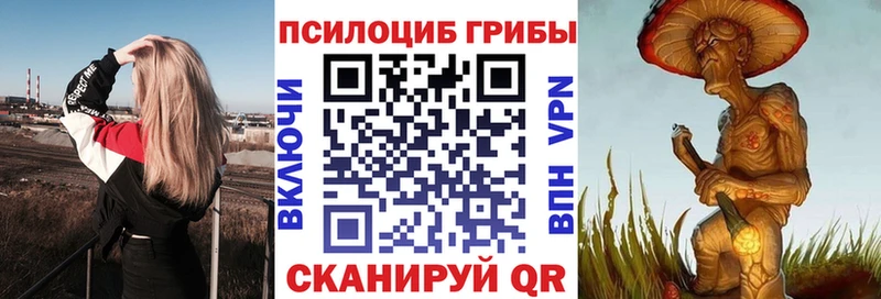 как найти закладки  Соликамск  МЕГА онион  Псилоцибиновые грибы Psilocybine cubensis 